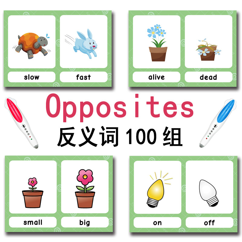 100 Cartões de Vocabulário em  - Kids Education Card avaliação e preço