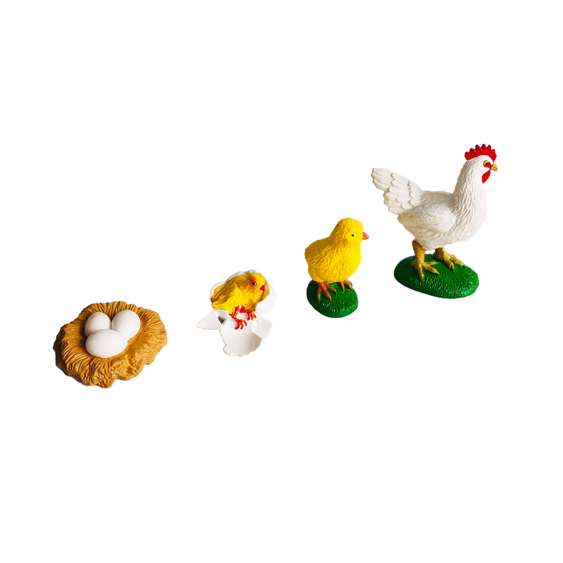 Cartões e modelos de animais d - Kids Education Card avaliação e preço